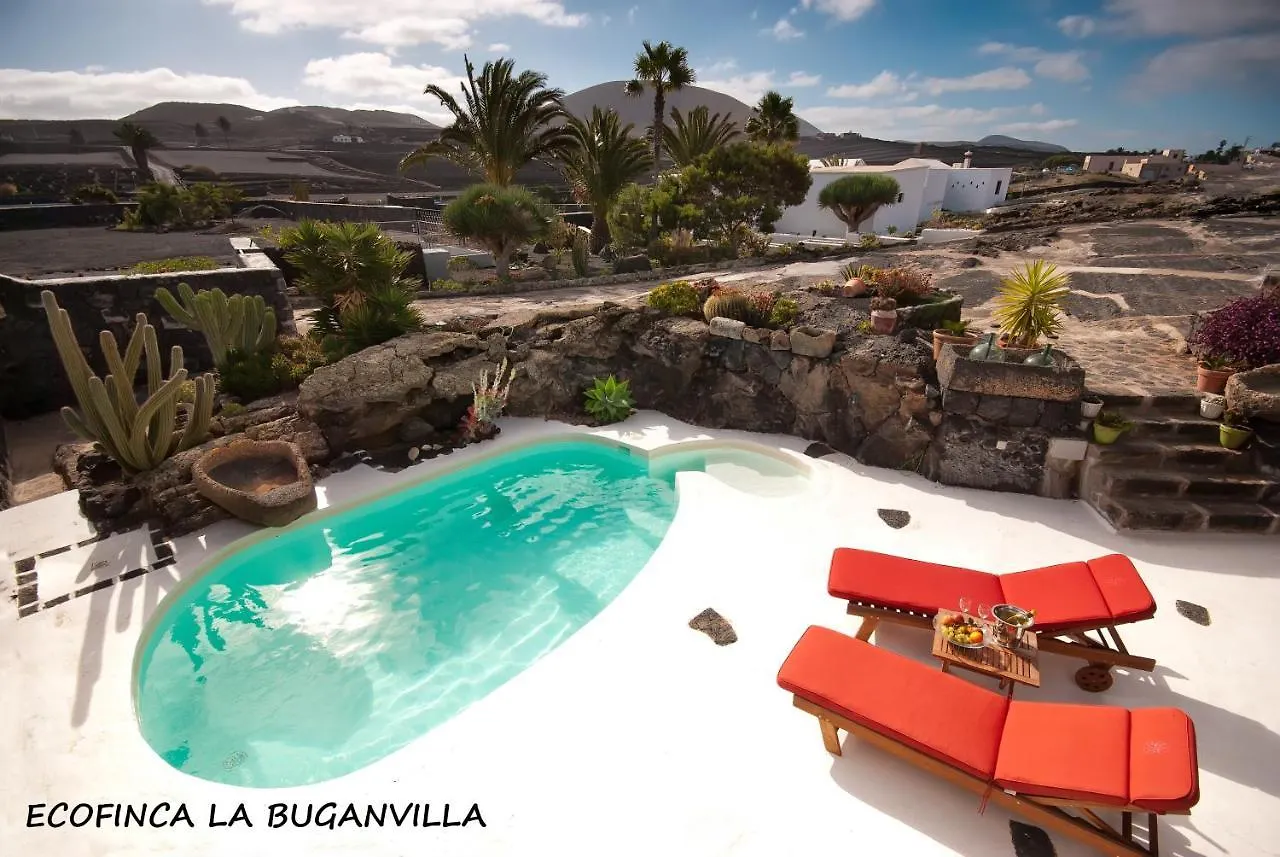 Ecofinca La Buganvilla (Adults Only) San Bartolome